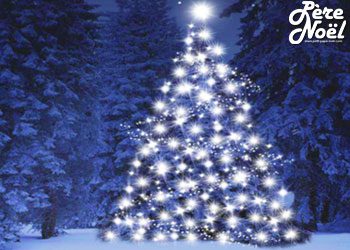 Album Photos : Les plus beaux sapins de noël