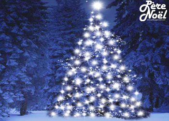 Album Photos : Les plus beaux sapins de noël